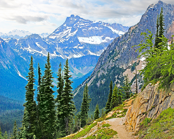 After Exposure & Brightness Correction