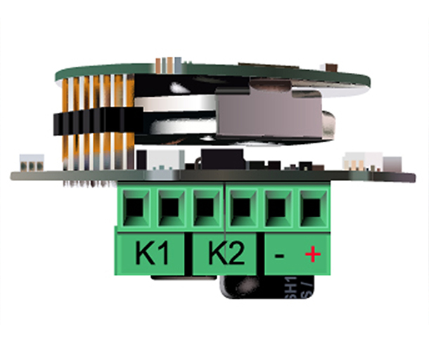 After Color Correction & Enhancement