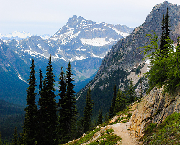 Before Exposure & Brightness Correction